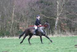 Tuesday 29th July and Sunday 3rd August - Amble's at broomhill grange