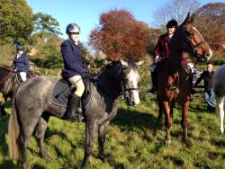 Start of the 2015/16 Readyfield Bloodhounds season