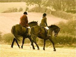 First Amble Of The Season.